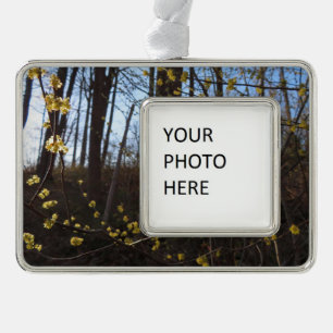 Spicebush Flowers in Spring Christmas Ornament