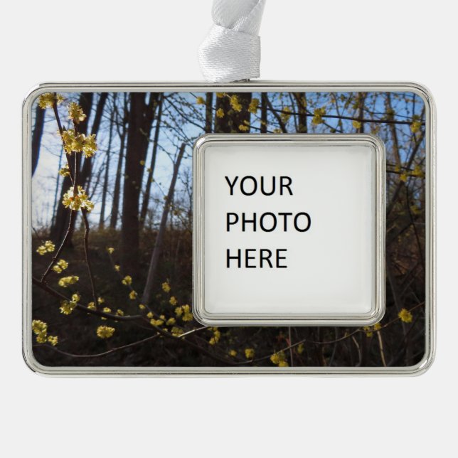 Spicebush Flowers in Spring Christmas Ornament (Front)