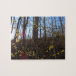 Spicebush Flowers in Spring Jigsaw Puzzle