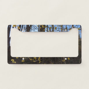 Spicebush Flowers in Spring License Plate Frame