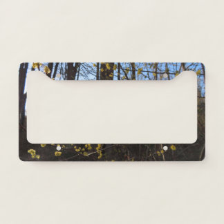 Spicebush Flowers in Spring License Plate Frame