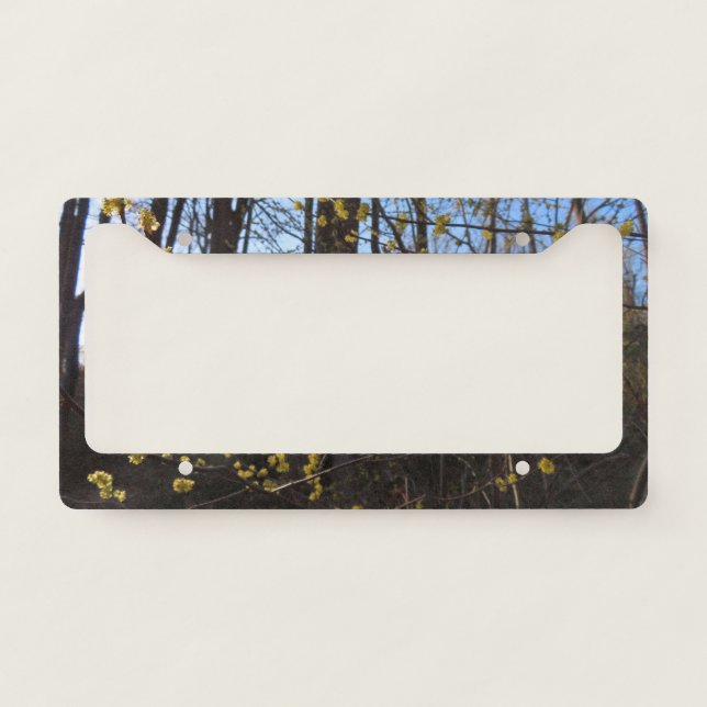Spicebush Flowers in Spring License Plate Frame (Front)