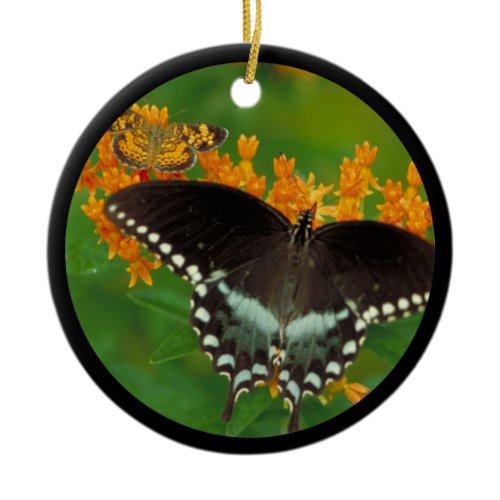 Spicebush Swallowtail Butterfly Ceramic Ornament