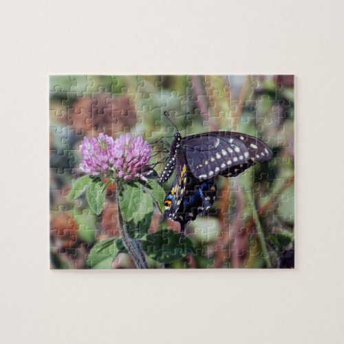 Spicebush Swallowtail Butterfly Jigsaw Puzzle