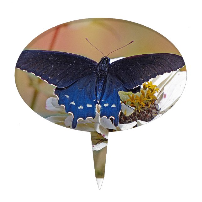 Spicebush Swallowtail Cake Topper (Front)