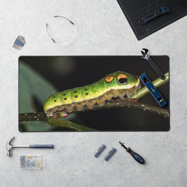 Spicebush Swallowtail Caterpillar Desk Mat (Workstation)
