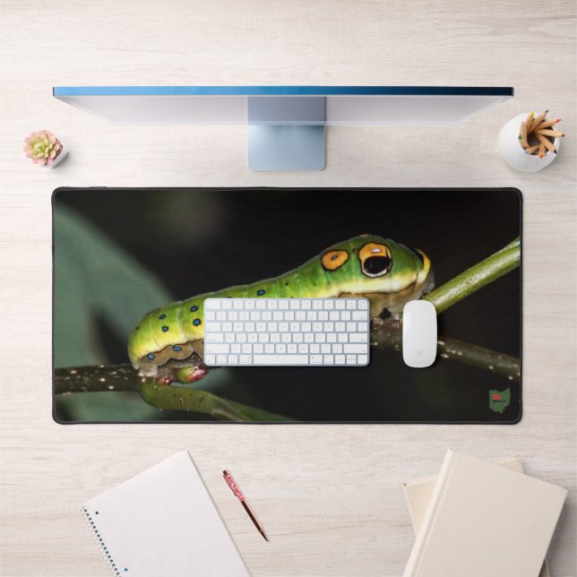 Spicebush Swallowtail Caterpillar Desk Mat (Office 1)