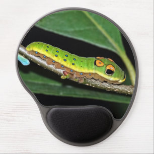 Spicebush Swallowtail Caterpillar Gel Mousepad