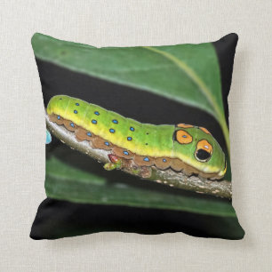 Spicebush Swallowtail Caterpillar Throw Pillow