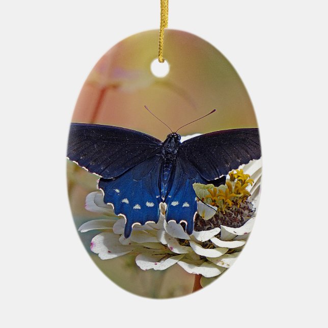 Spicebush Swallowtail Ceramic Ornament (Front)