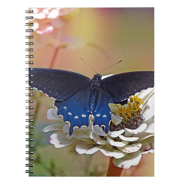 Spicebush Swallowtail Notebook (Front)