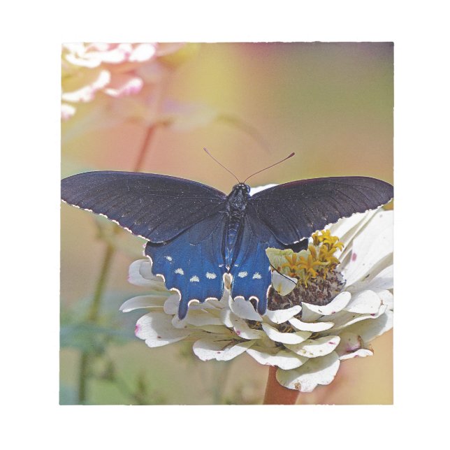 Spicebush Swallowtail Notepad (Front)