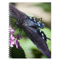 Spicebush Swallowtail Papilio Troilus Notebook