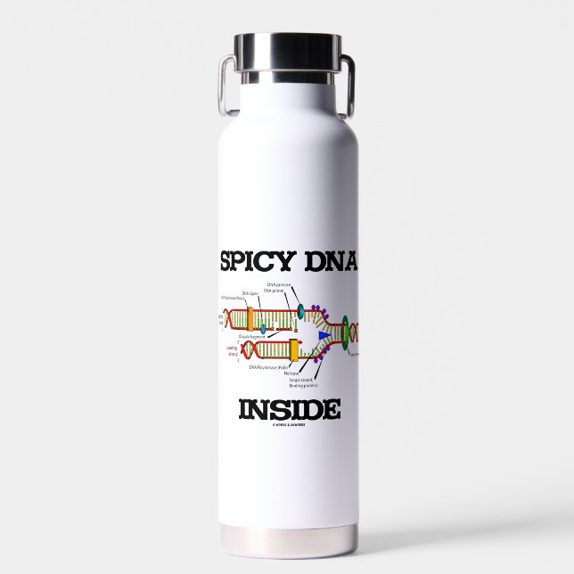 Spicy DNA Inside Molecular Biology Geek Humor Water Bottle (Front)