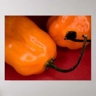Spicy habanero peppers poster