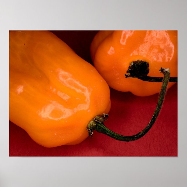 Spicy habanero peppers poster (Front)