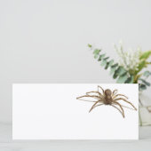 Spider (Standing Front)