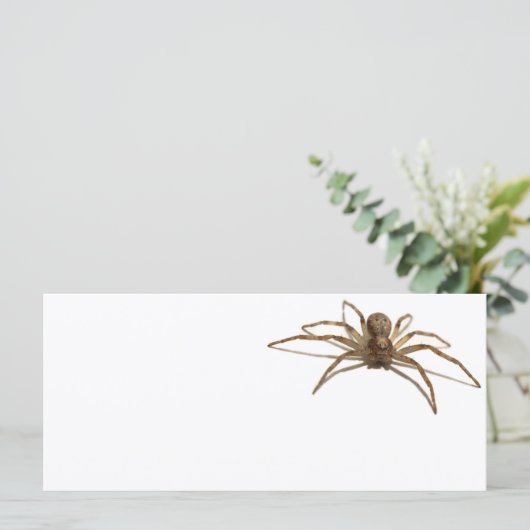 Spider (Standing Front)