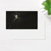 Spider (Desk)