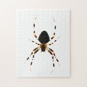 Spider 11x14 252pc jpm jigsaw puzzle