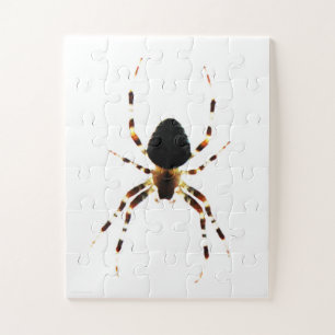 Spider 11x14 30pc jpcna jigsaw puzzle
