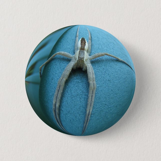 Spider 164 ~ button (Front)