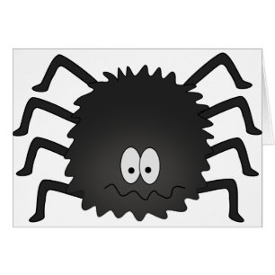 spider (2) cards