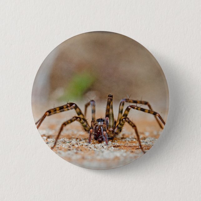 spider a button (Front)