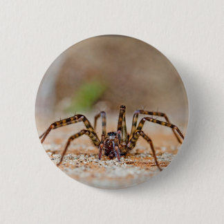 spider a button