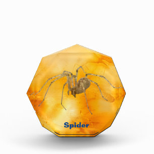 Spider Acrylic Award