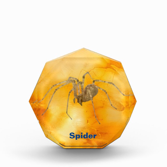 Spider Acrylic Award (Front)