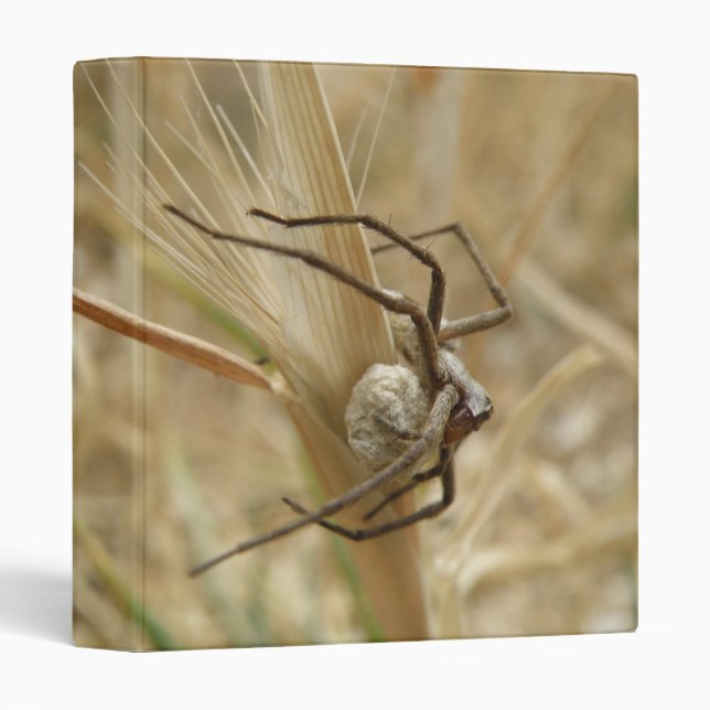 Spider and Egg Sac Binder (Front/Spine)