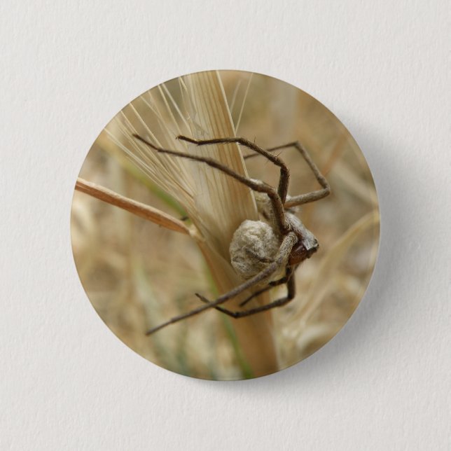 Spider and Egg Sac Button (Front)