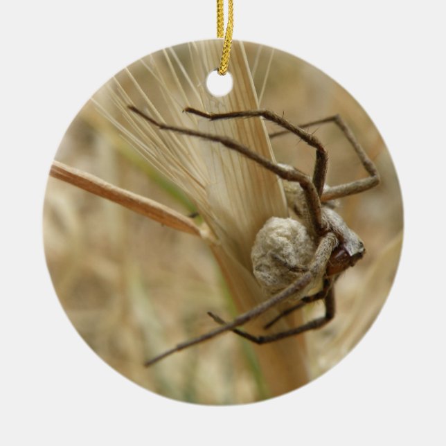 Spider and Egg Sac Custom Birthday Ceramic Ornament (Front)