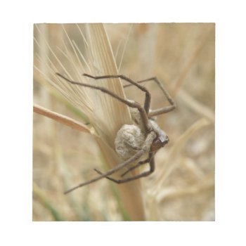 Spider And Egg Sac Notepad by Fallen_Angel_483 at Zazzle