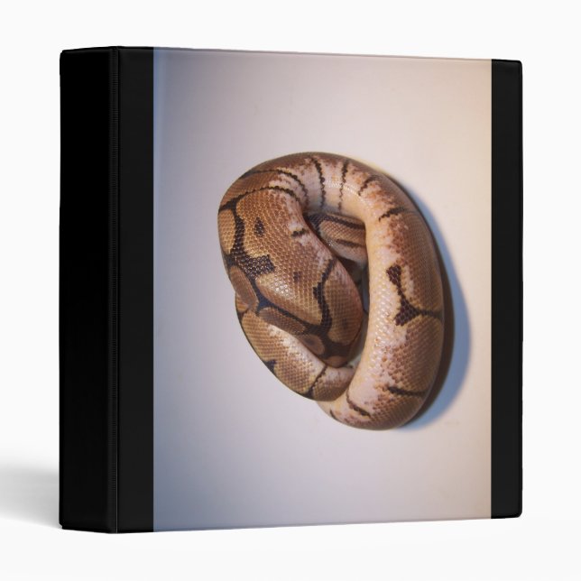 Spider Ball Python Binder (Front/Spine)