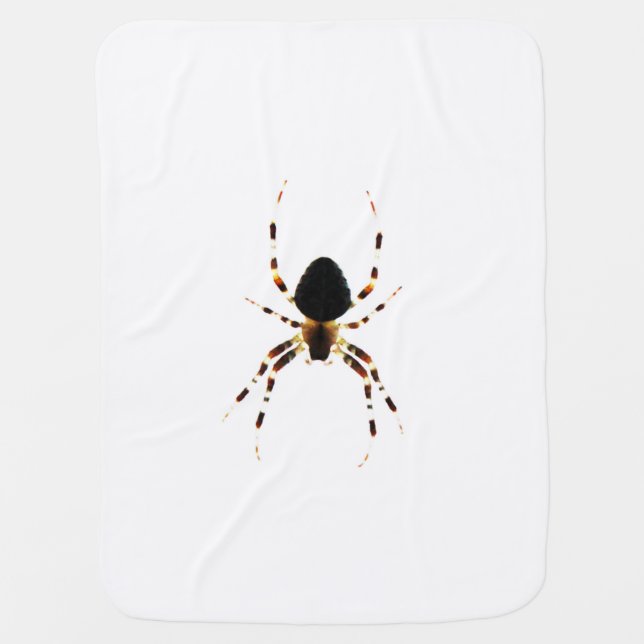 Spider bbi baby blanket (Front)