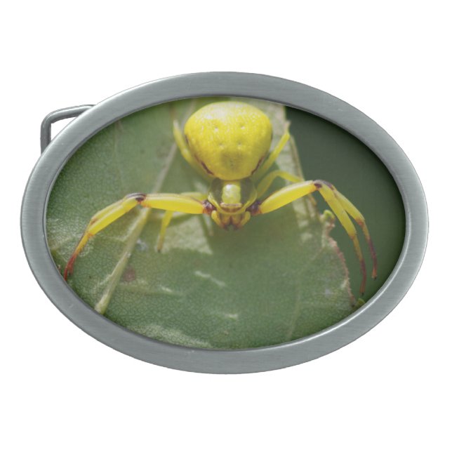 Spider Belt Buckle (Front)