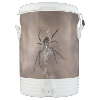 Spider Beverage Cooler