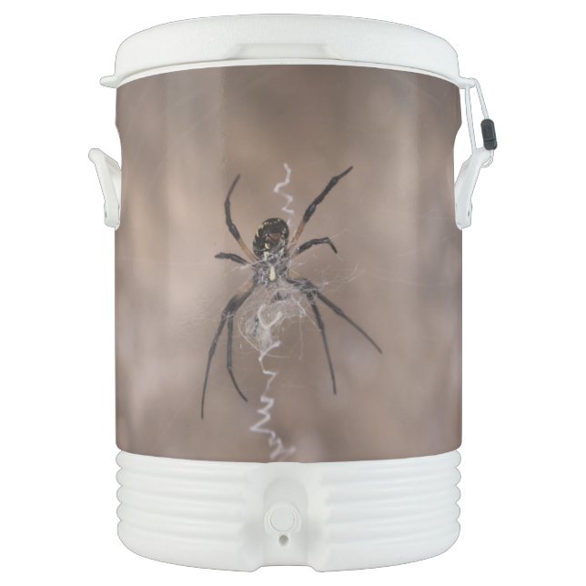 Spider Beverage Cooler (Front)