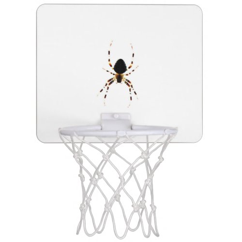 Spider bgcna mini basketball hoop