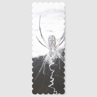 Spider  bookmarks