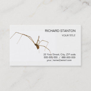 Spider Business Card