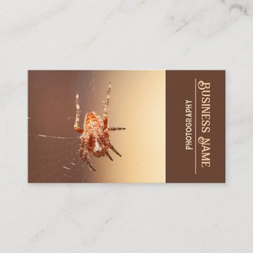 Spider Business Card