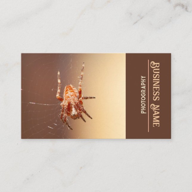 Spider Business Card (Front)
