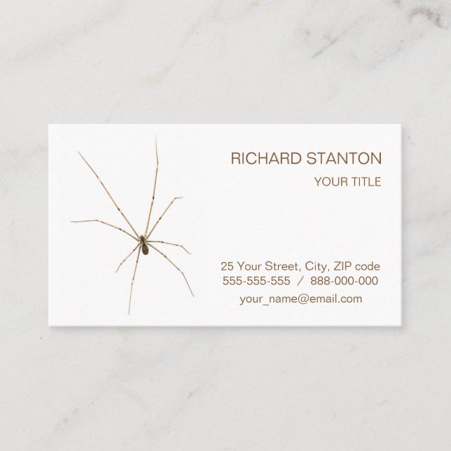 Spider Business Card (Front)