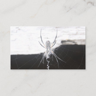 Spider Business Cards