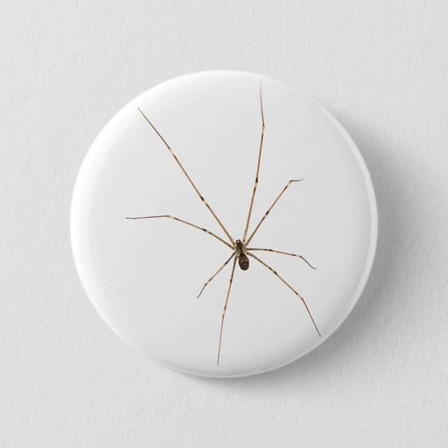 Spider Button (Front)