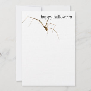 Spider Card