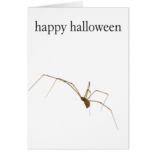 Spider Cards (Front)